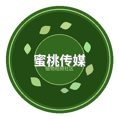 蜜桃传媒